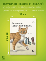 Как кошка приручила человека: история кошек и людей